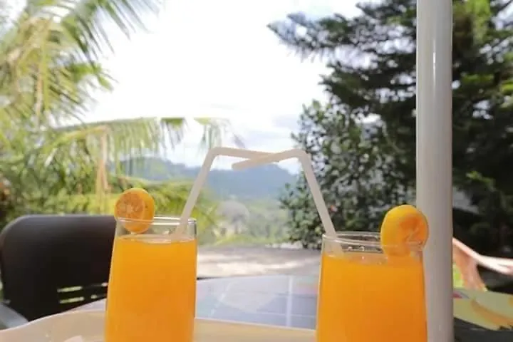 Kandy Green Mount Villa Guest house